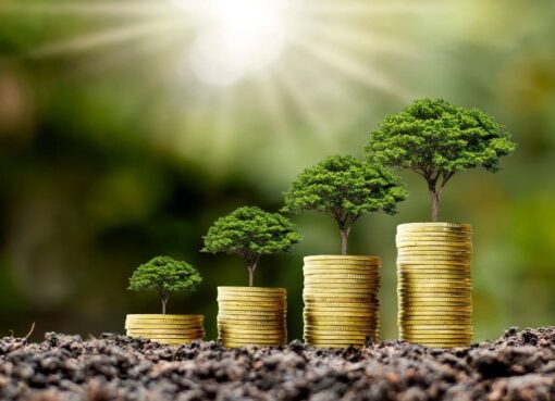 Sustainable Finance and Green Investments