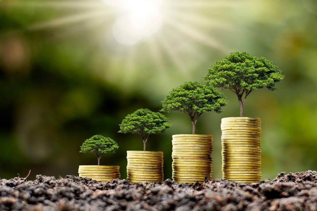 Sustainable Finance and Green Investments