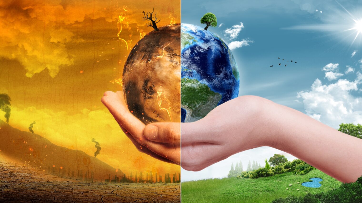 Global Warming & Understanding the Causes, Effects, and Solutions